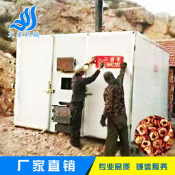 環(huán)保高效食品烘干爐與新型山楂加工設(shè)備 臨朐文圣機(jī)械設(shè)備廠的專業(yè)制造
